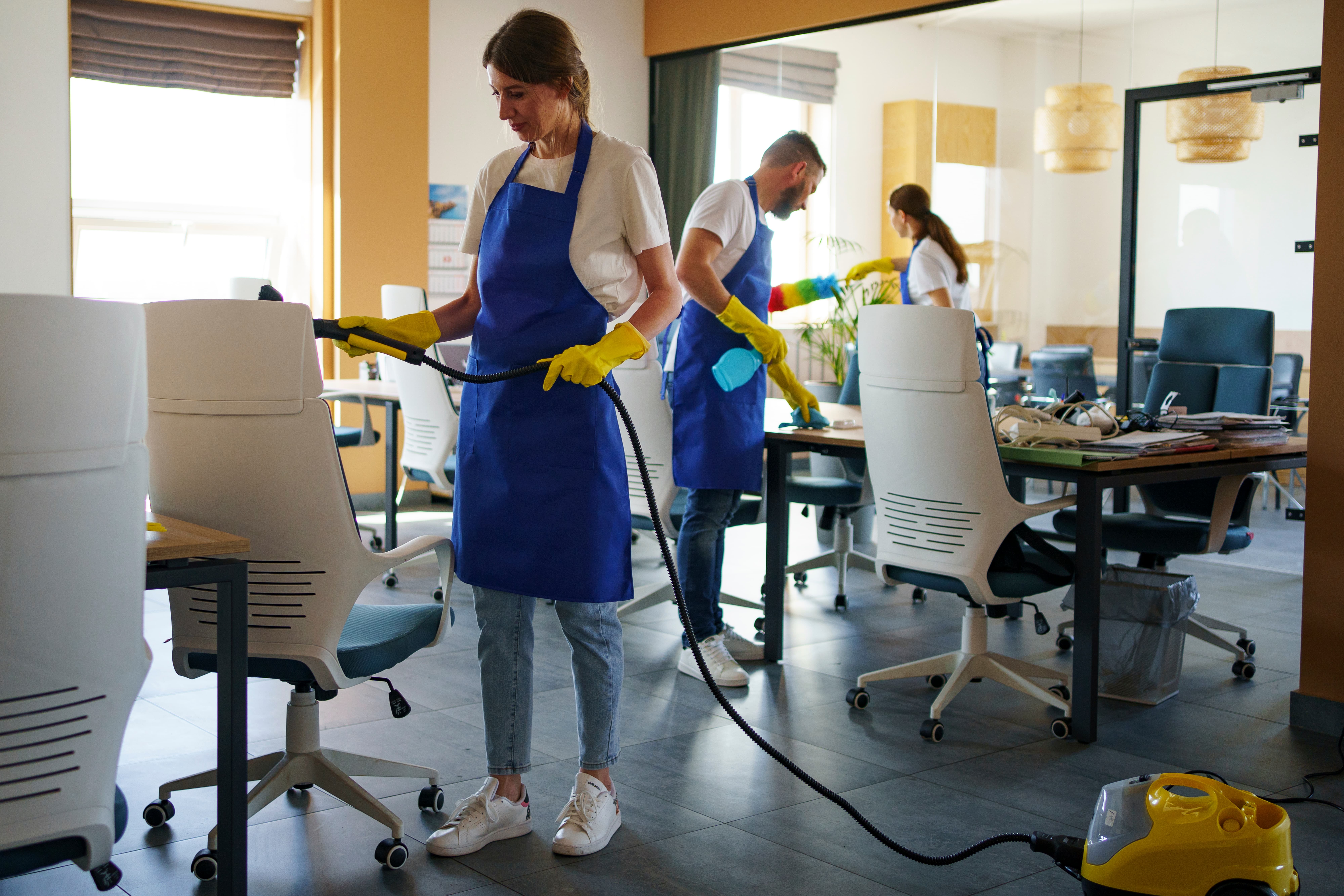 Deep Clean, Pest Control & Laundry professional